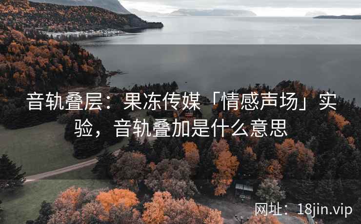 音轨叠层：果冻传媒「情感声场」实验，音轨叠加是什么意思
