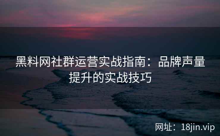 黑料网社群运营实战指南：品牌声量提升的实战技巧
