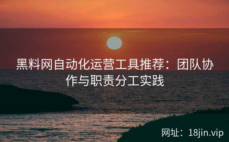 黑料网自动化运营工具推荐：团队协作与职责分工实践
