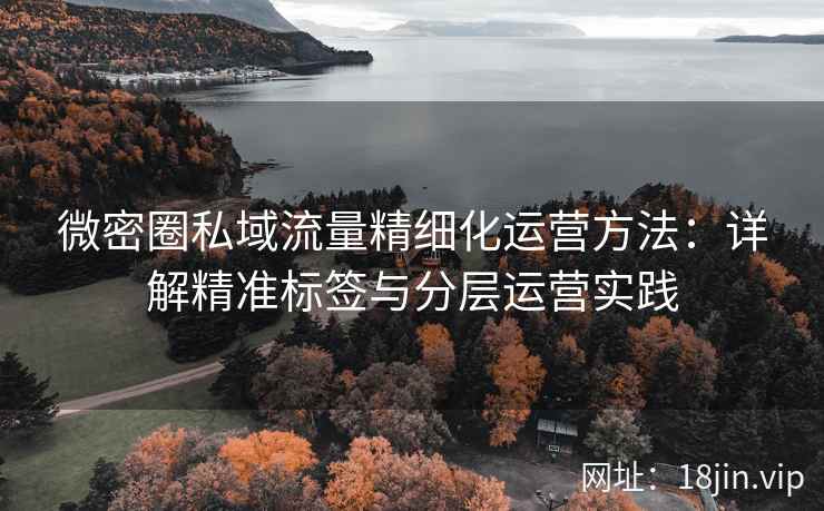 微密圈私域流量精细化运营方法：详解精准标签与分层运营实践